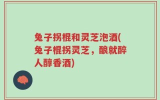 兔子拐棍和灵芝泡酒(兔子棍拐灵芝，酿就醉人醇香酒)