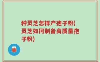 种灵芝怎样产孢子粉(灵芝如何制备高质量孢子粉)