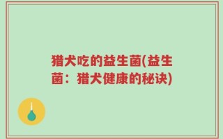猎犬吃的益生菌(益生菌：猎犬健康的秘诀)