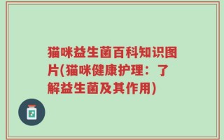 猫咪益生菌百科知识图片(猫咪健康护理：了解益生菌及其作用)