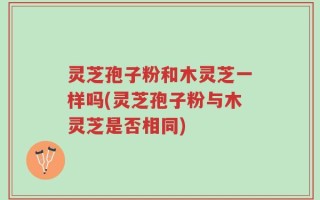 灵芝孢子粉和木灵芝一样吗(灵芝孢子粉与木灵芝是否相同)