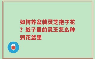 如何养盆栽灵芝孢子花？袋子里的灵芝怎么种到花盆里