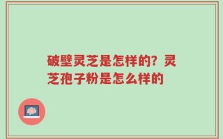 破壁灵芝是怎样的？灵芝孢子粉是怎么样的