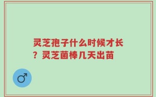 灵芝孢子什么时候才长？灵芝菌棒几天出苗