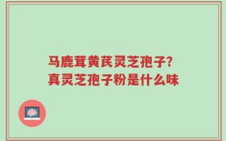 马鹿茸黄芪灵芝孢子？真灵芝孢子粉是什么味