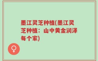 墨江灵芝种植(墨江灵芝种植：山中黄金润泽每个家)