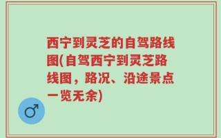 西宁到灵芝的自驾路线图(自驾西宁到灵芝路线图，路况、沿途景点一览无余)