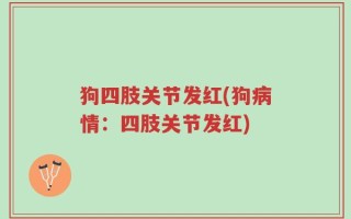 狗四肢关节发红(狗病情：四肢关节发红)