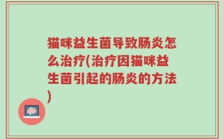 猫咪益生菌导致肠炎怎么治疗(治疗因猫咪益生菌引起的肠炎的方法)