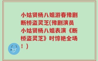小姑贤杨八姐游春豫剧断桥盗灵芝(豫剧演员小姑贤杨八姐表演《断桥盗灵芝》时惊艳全场！)