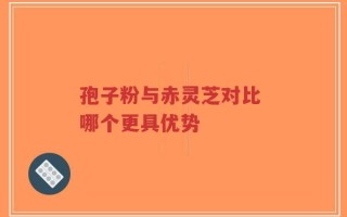 孢子粉与赤灵芝对比 哪个更具优势