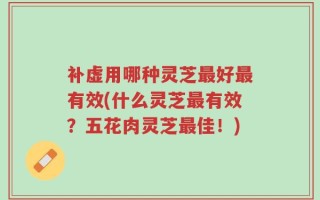 补虚用哪种灵芝最好最有效(什么灵芝最有效？五花肉灵芝最佳！)
