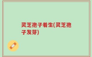 灵芝孢子着生(灵芝孢子发芽)