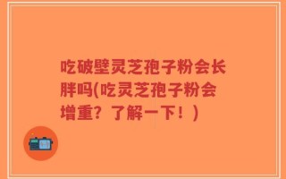 吃破壁灵芝孢子粉会长胖吗(吃灵芝孢子粉会增重？了解一下！)