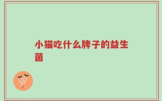 小猫吃什么牌子的益生菌