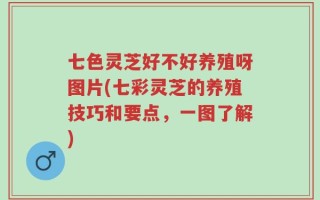 七色灵芝好不好养殖呀图片(七彩灵芝的养殖技巧和要点，一图了解)