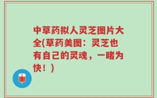 中草药拟人灵芝图片大全(草药美图：灵芝也有自己的灵魂，一睹为快！)