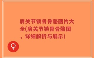 肩关节锁骨骨骼图片大全(肩关节锁骨骨骼图，详细解析与展示)