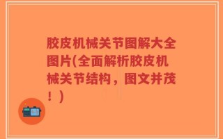 胶皮机械关节图解大全图片(全面解析胶皮机械关节结构，图文并茂！)