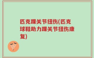 匹克踝关节扭伤(匹克球鞋助力踝关节扭伤康复)