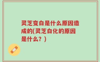 灵芝变白是什么原因造成的(灵芝白化的原因是什么？)