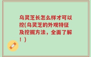 乌灵芝长怎么样才可以挖(乌灵芝的外观特征及挖掘方法，全面了解！)