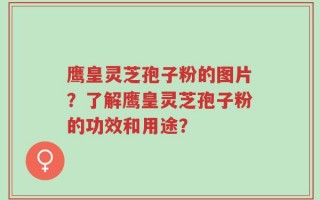 鹰皇灵芝孢子粉的图片？了解鹰皇灵芝孢子粉的功效和用途？