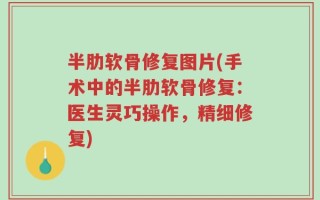 半肋软骨修复图片(手术中的半肋软骨修复：医生灵巧操作，精细修复)