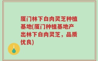 厦门林下白肉灵芝种植基地(厦门种植基地产出林下白肉灵芝，品质优良)
