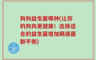 狗狗益生菌哪种(让你的狗狗更健康！选择适合的益生菌增加肠道菌群平衡)