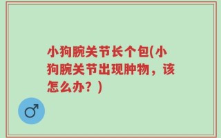小狗腕关节长个包(小狗腕关节出现肿物，该怎么办？)