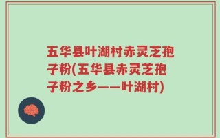 五华县叶湖村赤灵芝孢子粉(五华县赤灵芝孢子粉之乡——叶湖村)