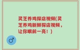灵芝养鸡探店视频(灵芝养鸡新鲜探店视频，让你眼前一亮！)