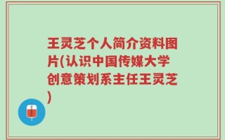 王灵芝个人简介资料图片(认识中国传媒大学创意策划系主任王灵芝)