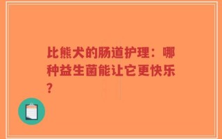 比熊犬的肠道护理：哪种益生菌能让它更快乐？