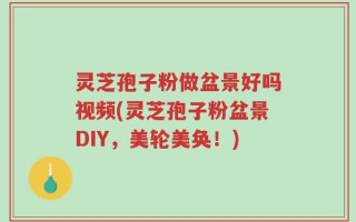灵芝孢子粉做盆景好吗视频(灵芝孢子粉盆景DIY，美轮美奂！)