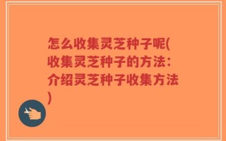 怎么收集灵芝种子呢(收集灵芝种子的方法：介绍灵芝种子收集方法)