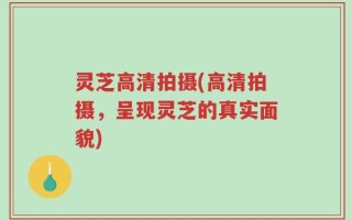 灵芝高清拍摄(高清拍摄，呈现灵芝的真实面貌)