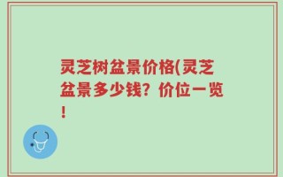 灵芝树盆景价格(灵芝盆景多少钱？价位一览！