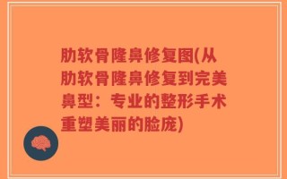 肋软骨隆鼻修复图(从肋软骨隆鼻修复到完美鼻型：专业的整形手术重塑美丽的脸庞)