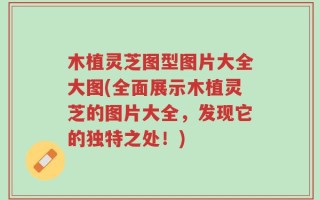 木植灵芝图型图片大全大图(全面展示木植灵芝的图片大全，发现它的独特之处！)