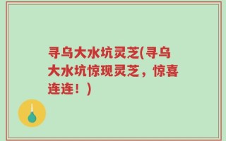 寻乌大水坑灵芝(寻乌大水坑惊现灵芝，惊喜连连！)