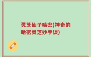 灵芝仙子哈密(神奇的哈密灵芝妙手谈)