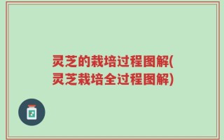 灵芝的栽培过程图解(灵芝栽培全过程图解)