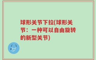 球形关节下拉(球形关节：一种可以自由旋转的新型关节)