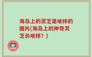 海岛上的灵芝是啥样的图片(海岛上的神奇灵芝长啥样？)