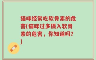 猫咪经常吃软骨素的危害(猫咪过多摄入软骨素的危害，你知道吗？)