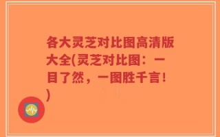 各大灵芝对比图高清版大全(灵芝对比图：一目了然，一图胜千言！)