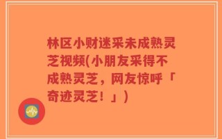 林区小财迷采未成熟灵芝视频(小朋友采得不成熟灵芝，网友惊呼「奇迹灵芝！」)