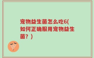 宠物益生菌怎么吃6(如何正确服用宠物益生菌？)